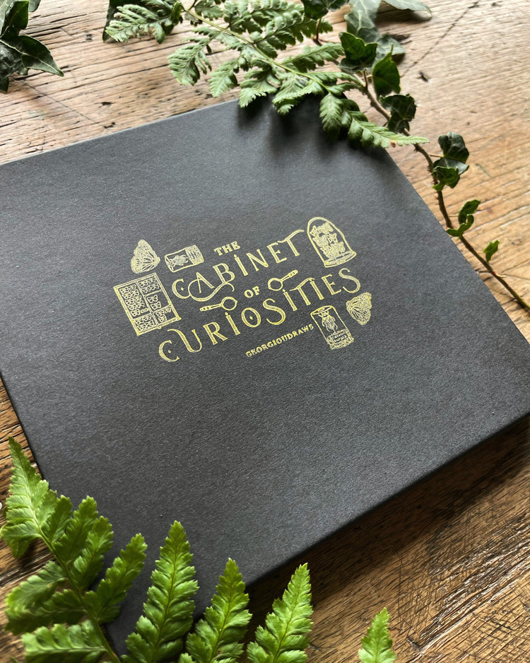 The Cabinet Of Curiosities