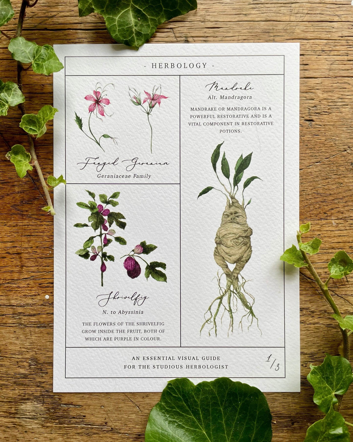 Herbology Chart A4 Print Set