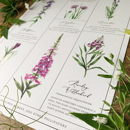 Flowers for Pollinators Chart A4 Print