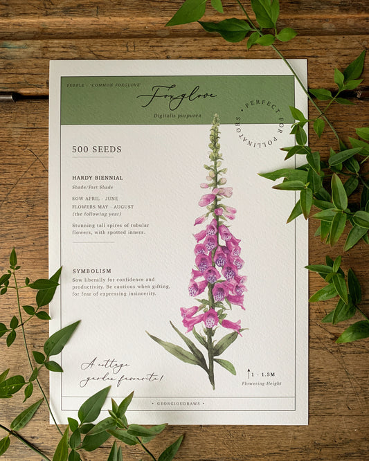 Floral Botanical Watercolour Foxglove Seed Packet Art Print