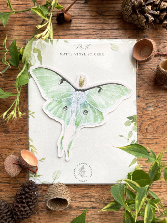 Luna Moth Matt Vinyl Nature Sticker | Nature Wildlife Illustration Art