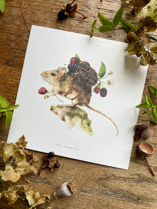 The Harvester Whimsical Animal Square Watercolour Art Print
