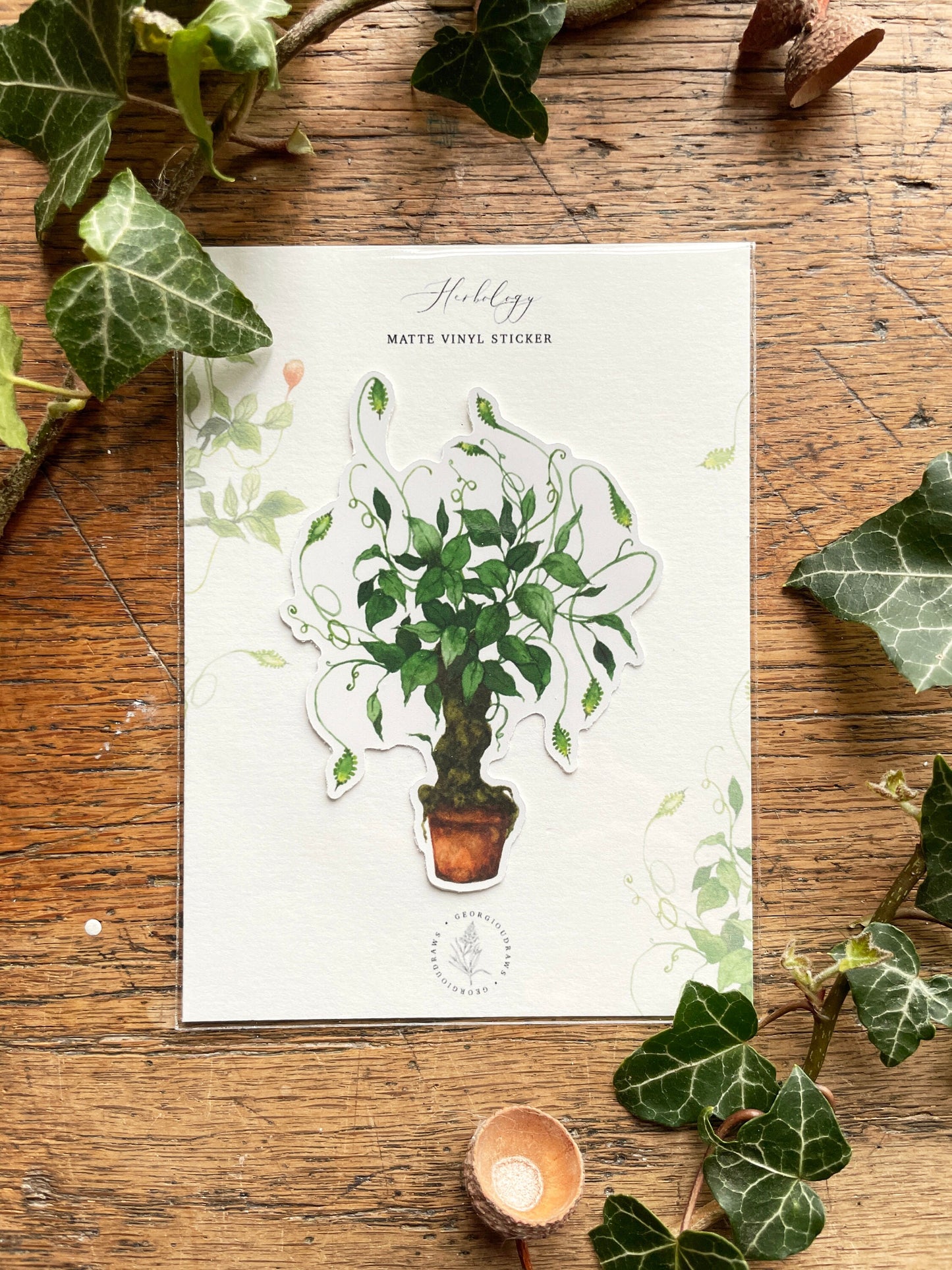 Herbology Matt Vinyl Sticker | Magical Herbology Stationery Art