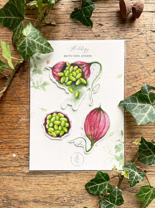 Herbology Matt Vinyl Sticker Set | Magical Herbology Stationery Art