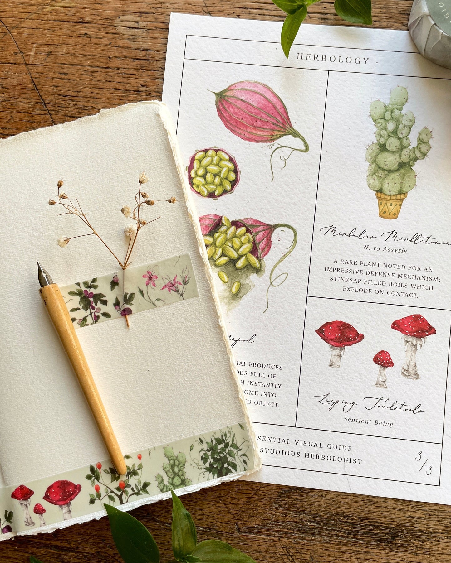 Herbology Washi Tape | Magical plants Tape