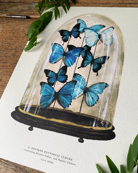 Blue Antique Butterfly Dome Art Print