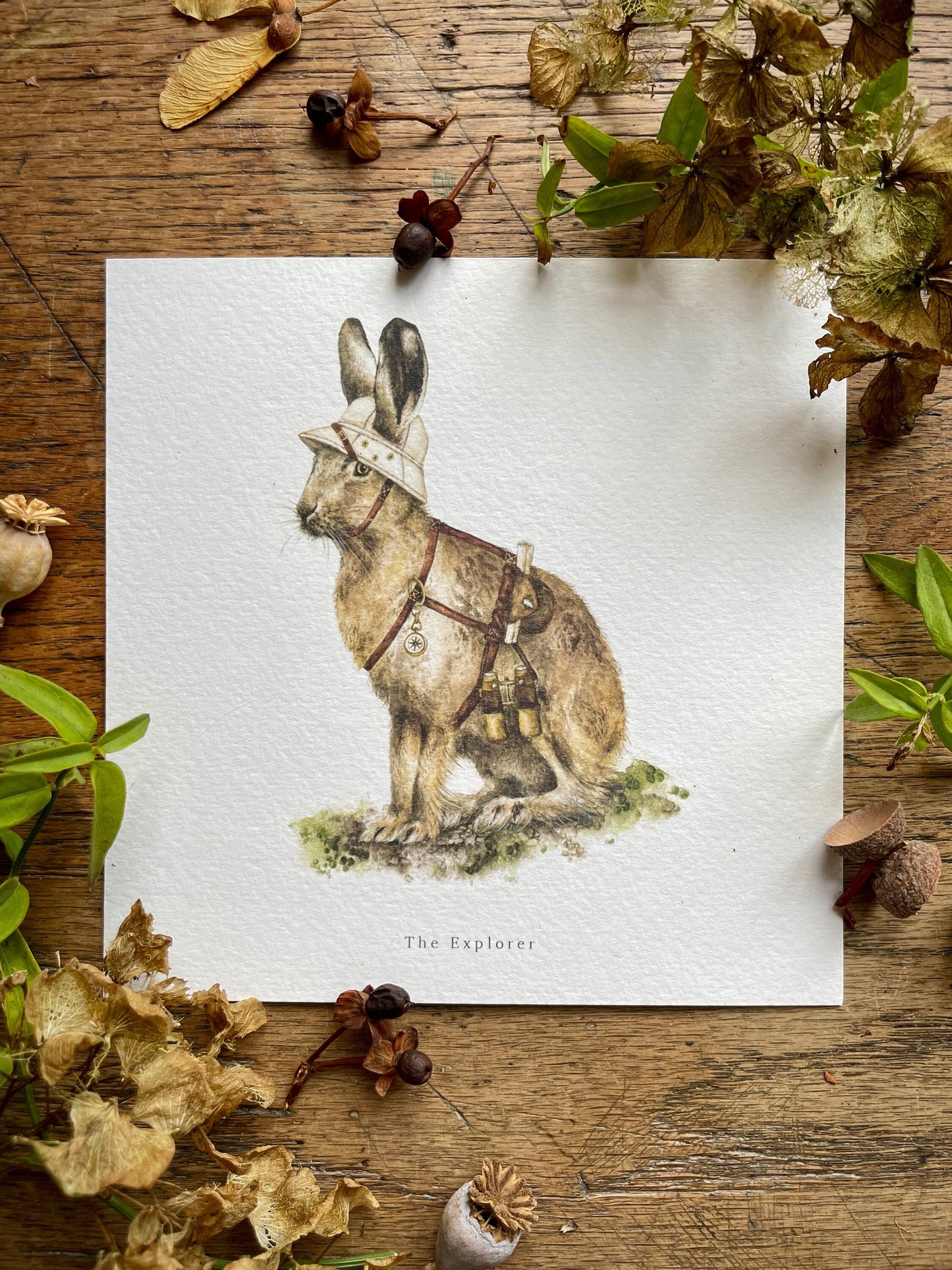 The Explorer Whimsical Animal Square Watercolour Art Print