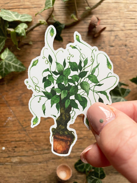 Herbology Matt Vinyl Sticker | Magical Herbology Stationery Art