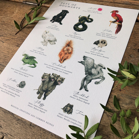 Magical Creatures A4 Print