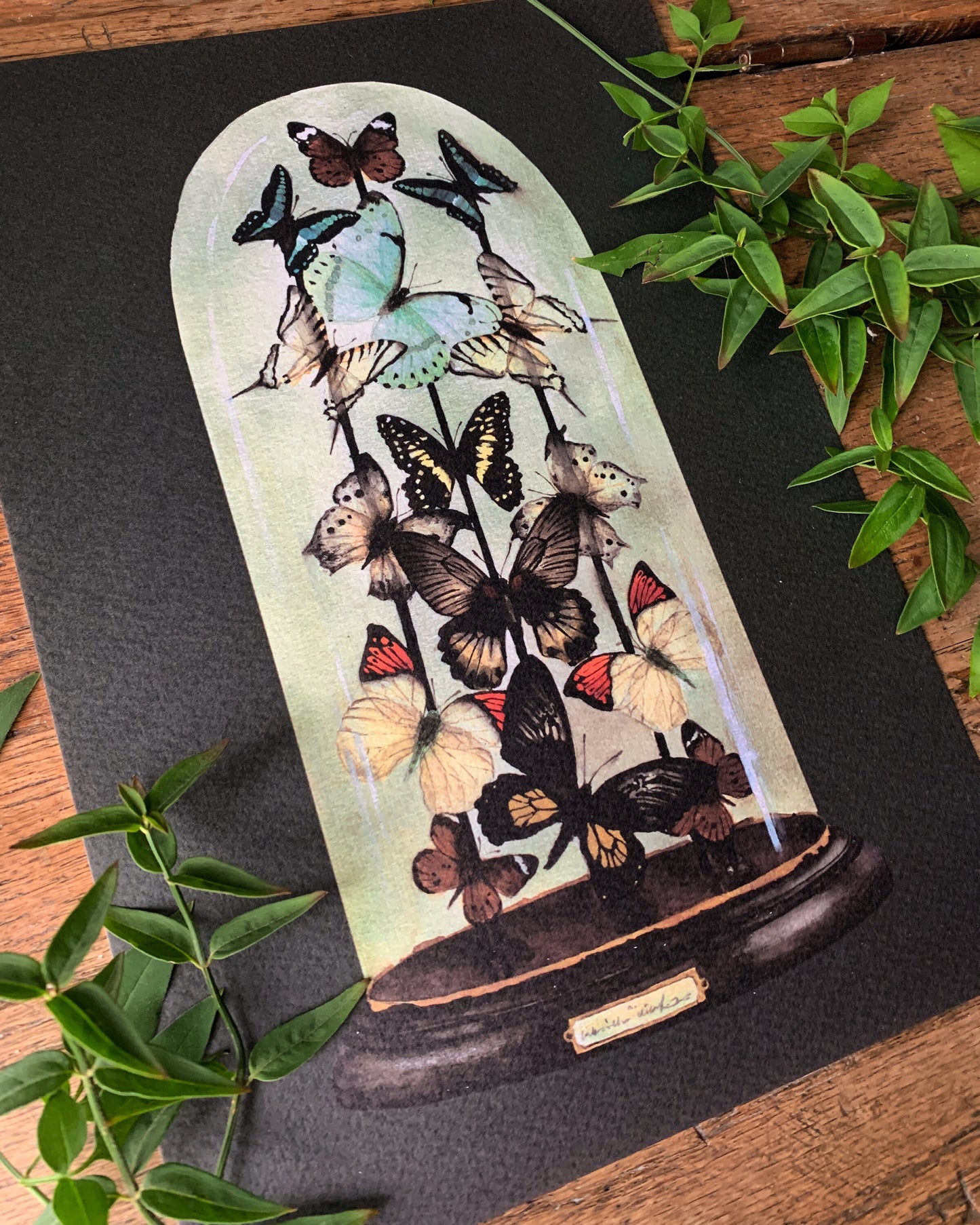 Antique Butterfly Dome A3 Art Print