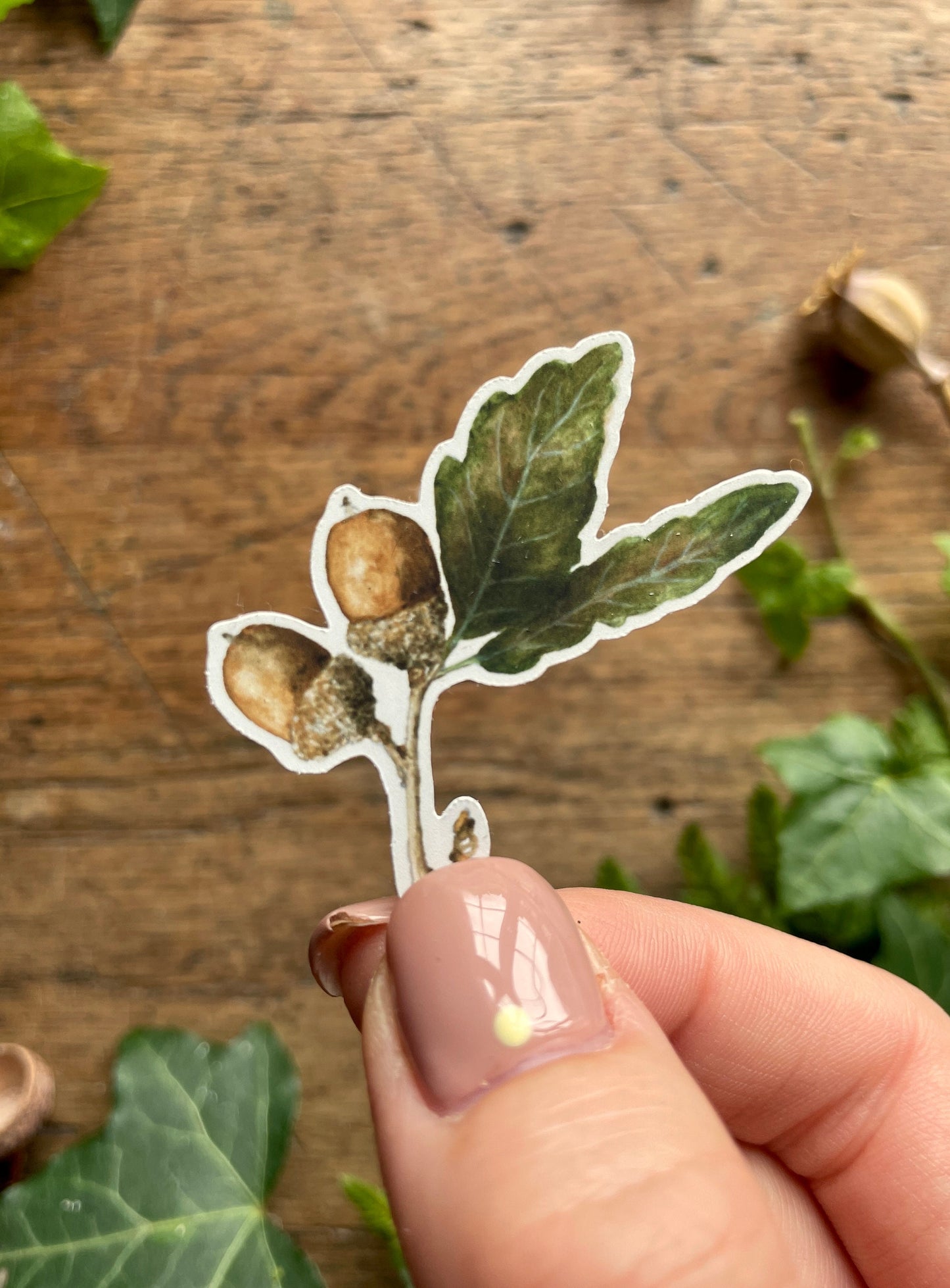 Woodland Nature Elements Matt Vinyl Sticker Set | Watercolour Nature Illustration