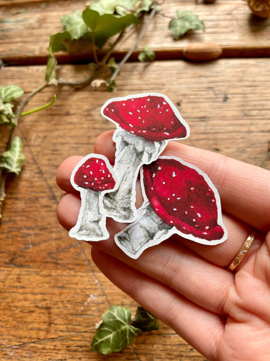Toadstools Matt Vinyl Sticker set | Magical Herbology Stationery Art