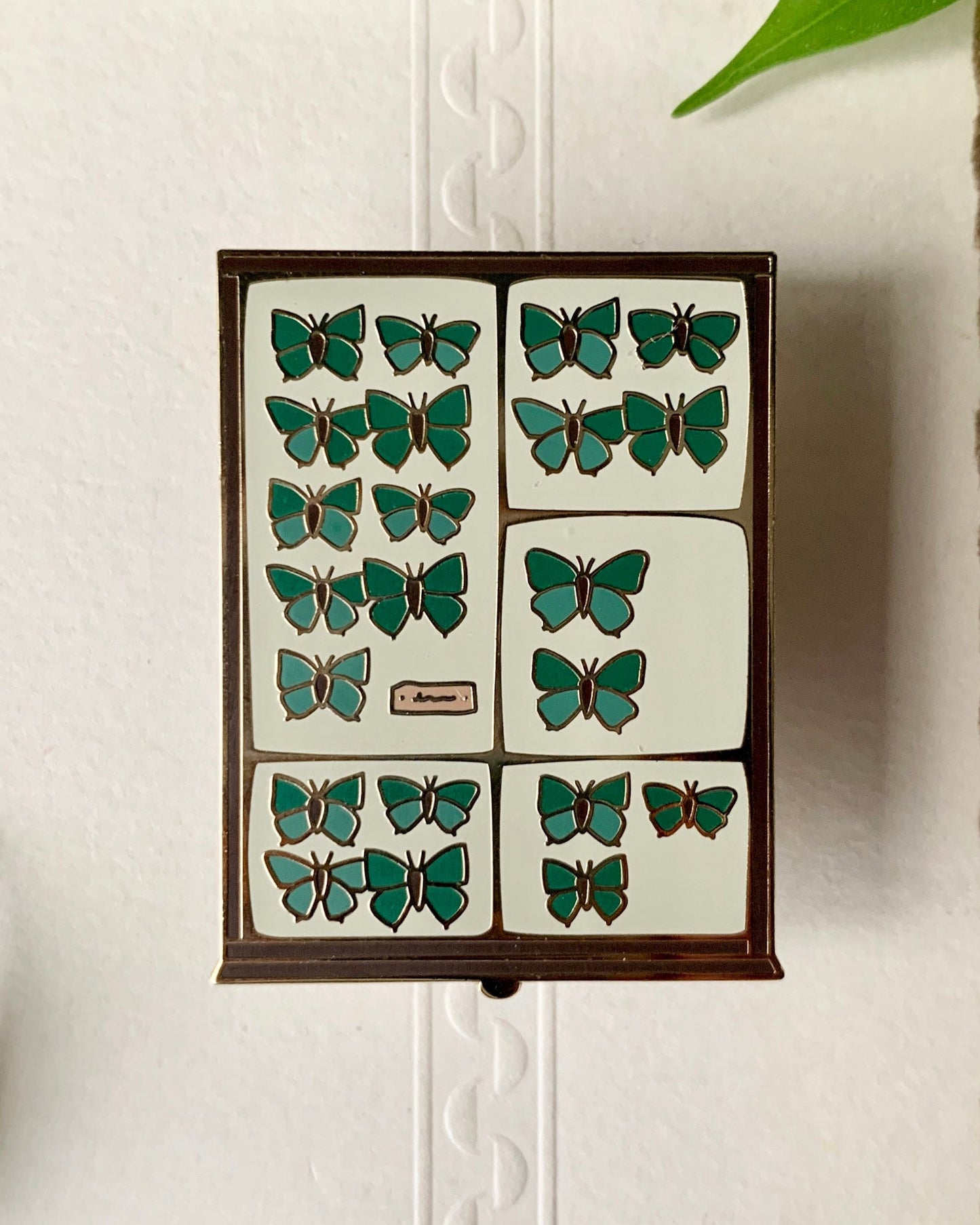 Butterfly Tray Enamel Pin Badge | Entomology Taxidermy Cabinet of Curiosities Art