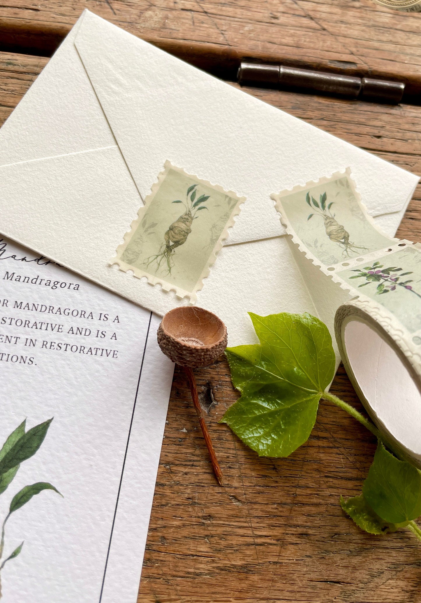 Pack of 3 | Herbology Stamp Washi Tape | Magical Herbology Tape