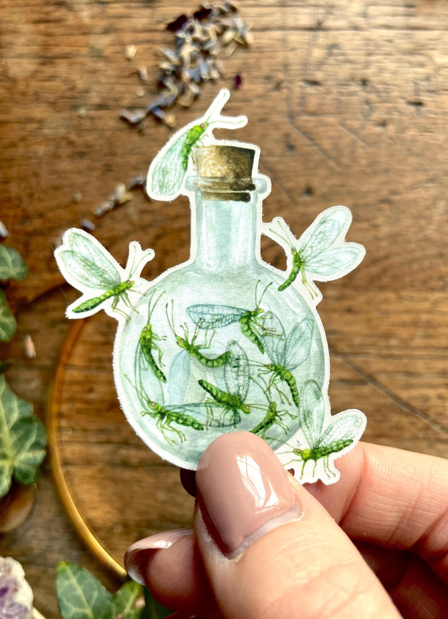Potion Making Ingredients Matt Vinyl Sticker Set | Curious Magical Witchy Art