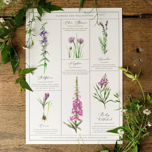 Flowers for Pollinators Chart A4 Print