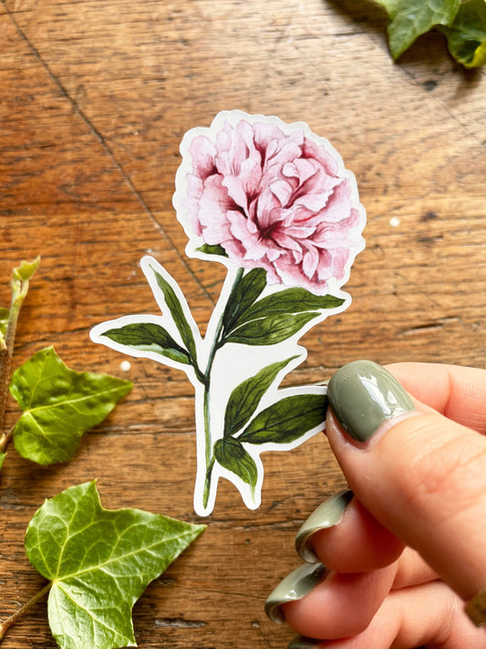 Pink Peony Matt Vinyl Floral Sticker | Nature Illustration Art