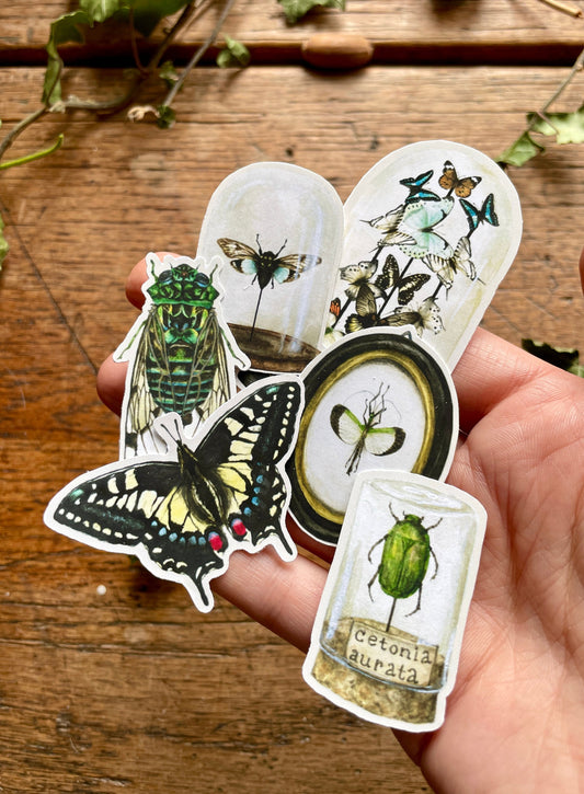 Entomology Matt Vinyl Sticker Set | Curious Nature Oddities Art