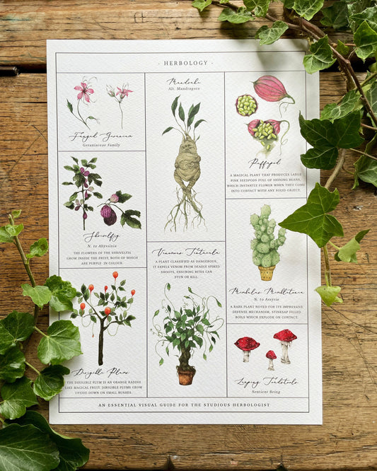 Herbology Chart A4 Print
