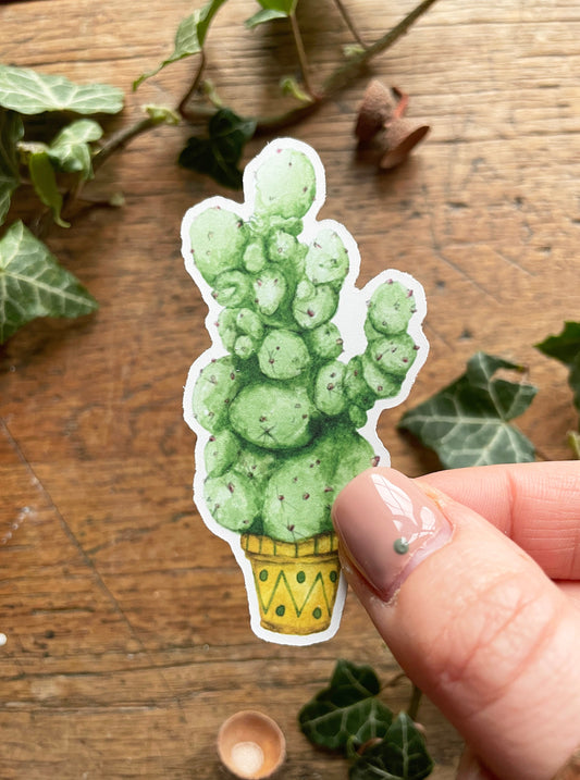 Herbology Matt Vinyl Sticker | Magical Herbology Stationery Art
