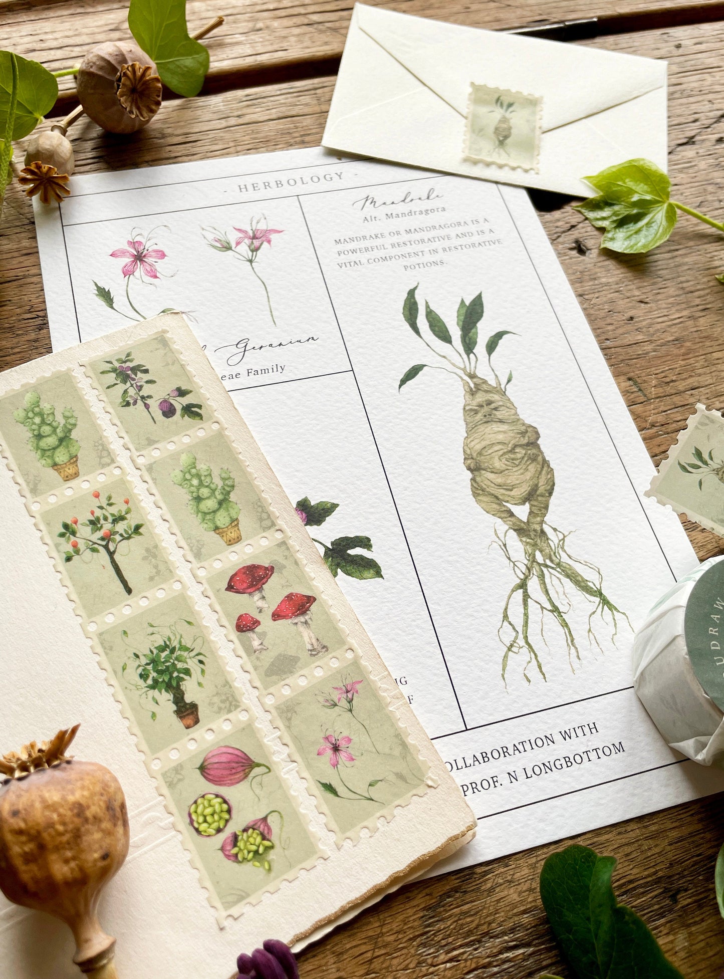 Pack of 3 | Herbology Stamp Washi Tape | Magical Herbology Tape