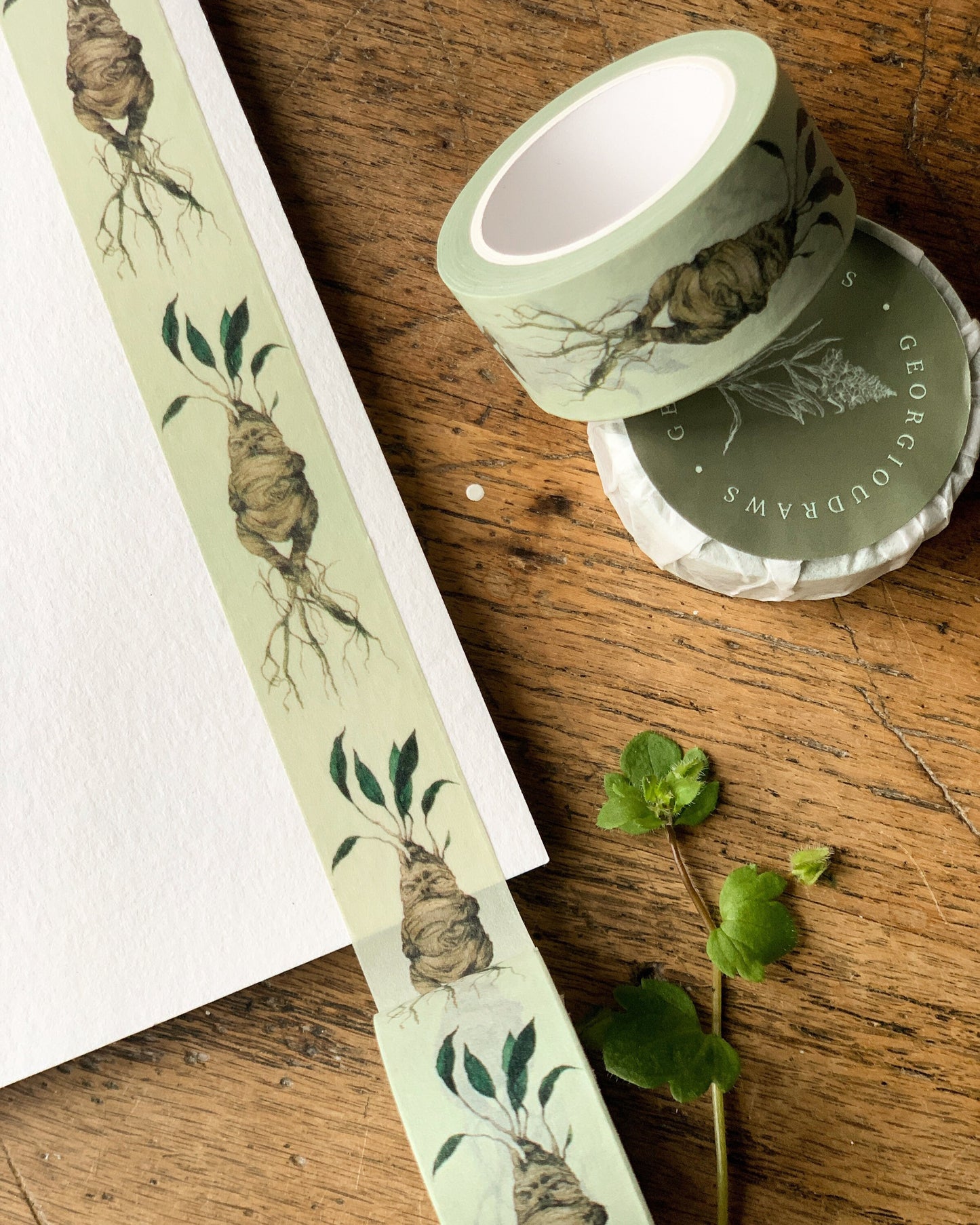 Pack of 2 or 3 | Mandrake Washi Tape | Magical Herbology Tape