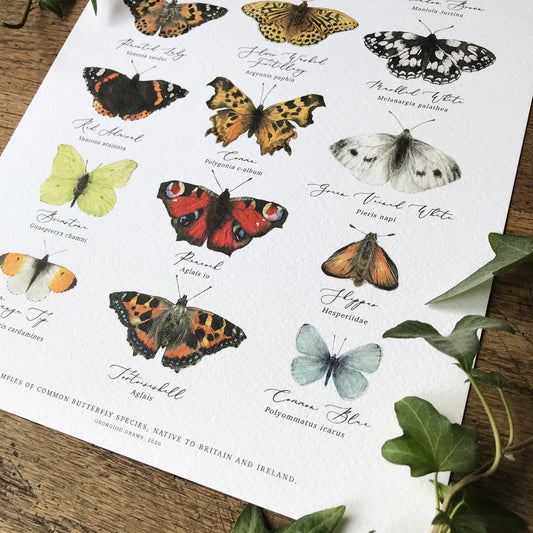 British Butterflies Chart A4 Print