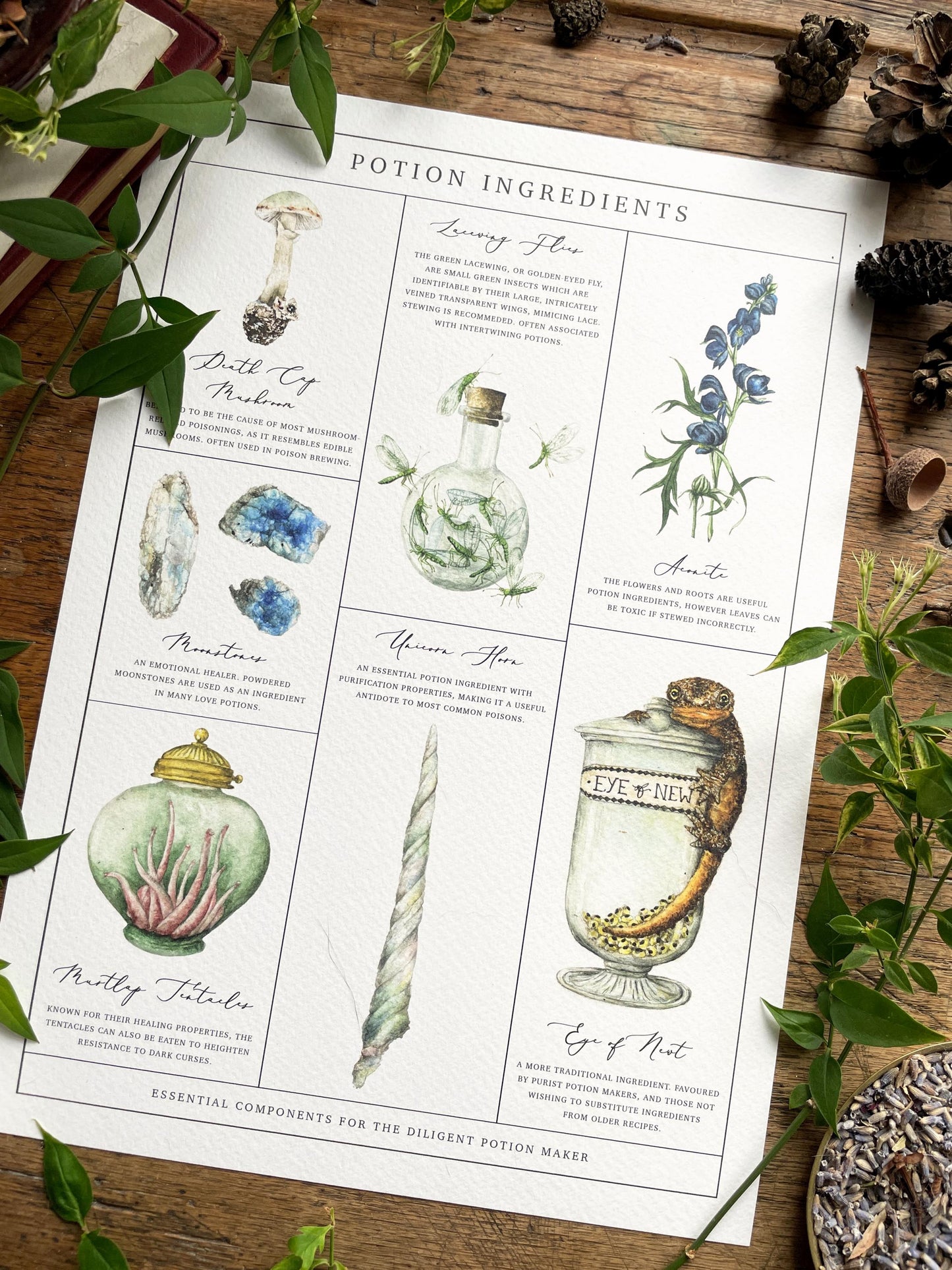 Potion Making Ingredients Watercolour A4 Art Print