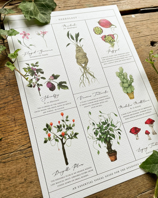Herbology Chart A3 Print