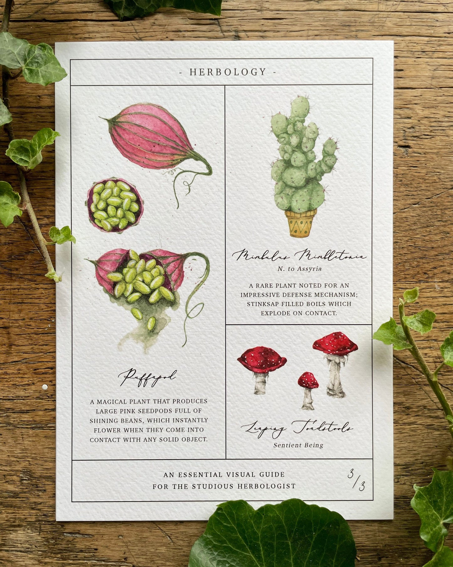 Herbology Chart A3 Print set