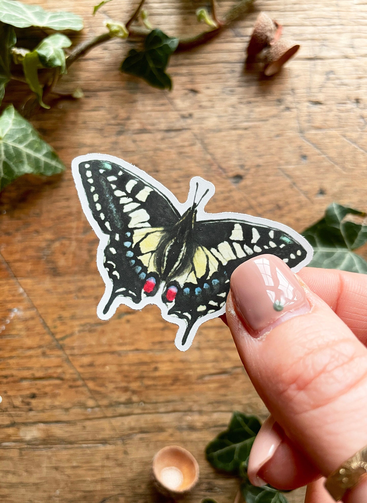 Entomology Matt Vinyl Sticker Set | Curious Nature Oddities Art
