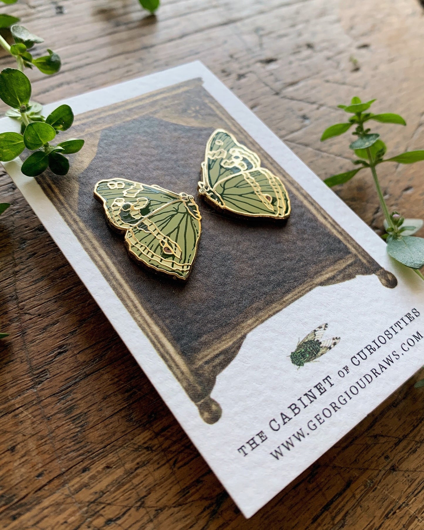 Butterfly Wings Enamel Pin Badge Set | Entomology Taxidermy Art