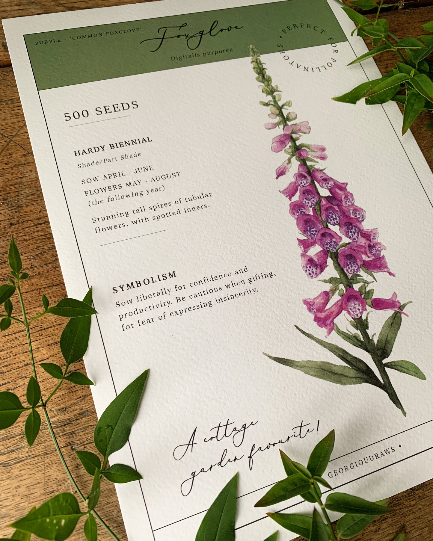 Floral Botanical Watercolour Foxglove Seed Packet Art Print