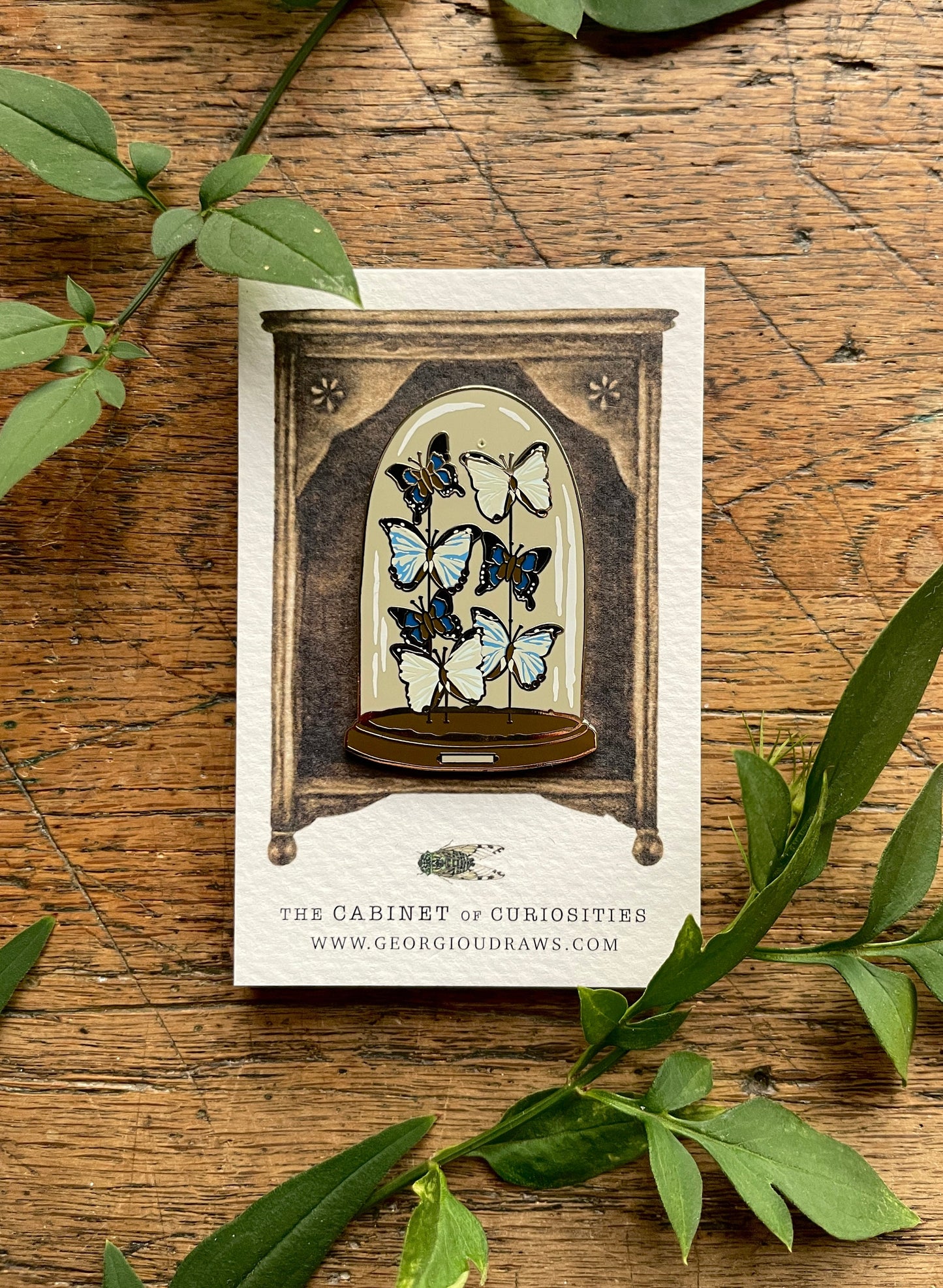 SECONDS PIN Butterfly Dome Enamel Pin Badge | Entomology Taxidermy Art