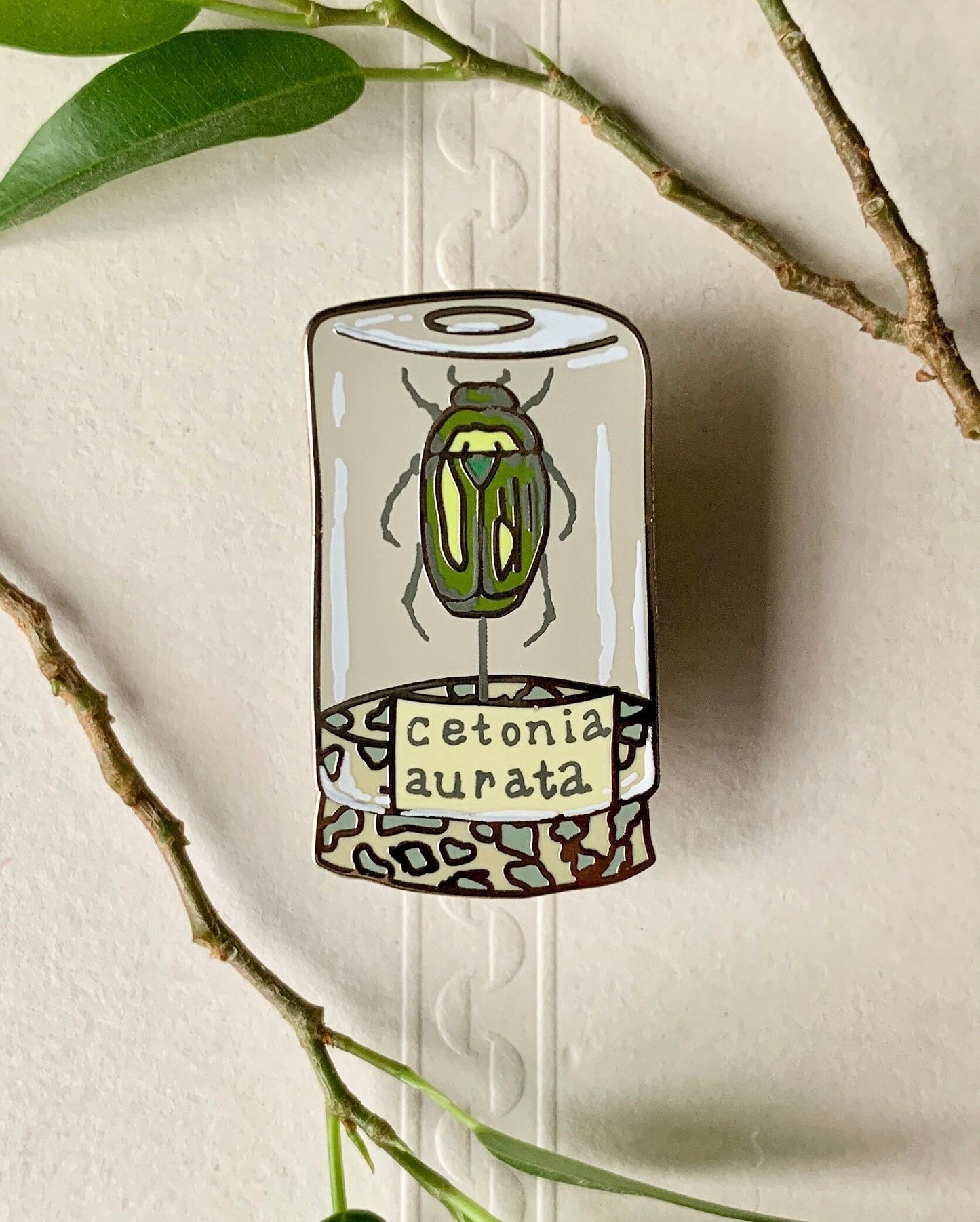 Beetle Specimen Jar Entomology Enamel Pin Badge