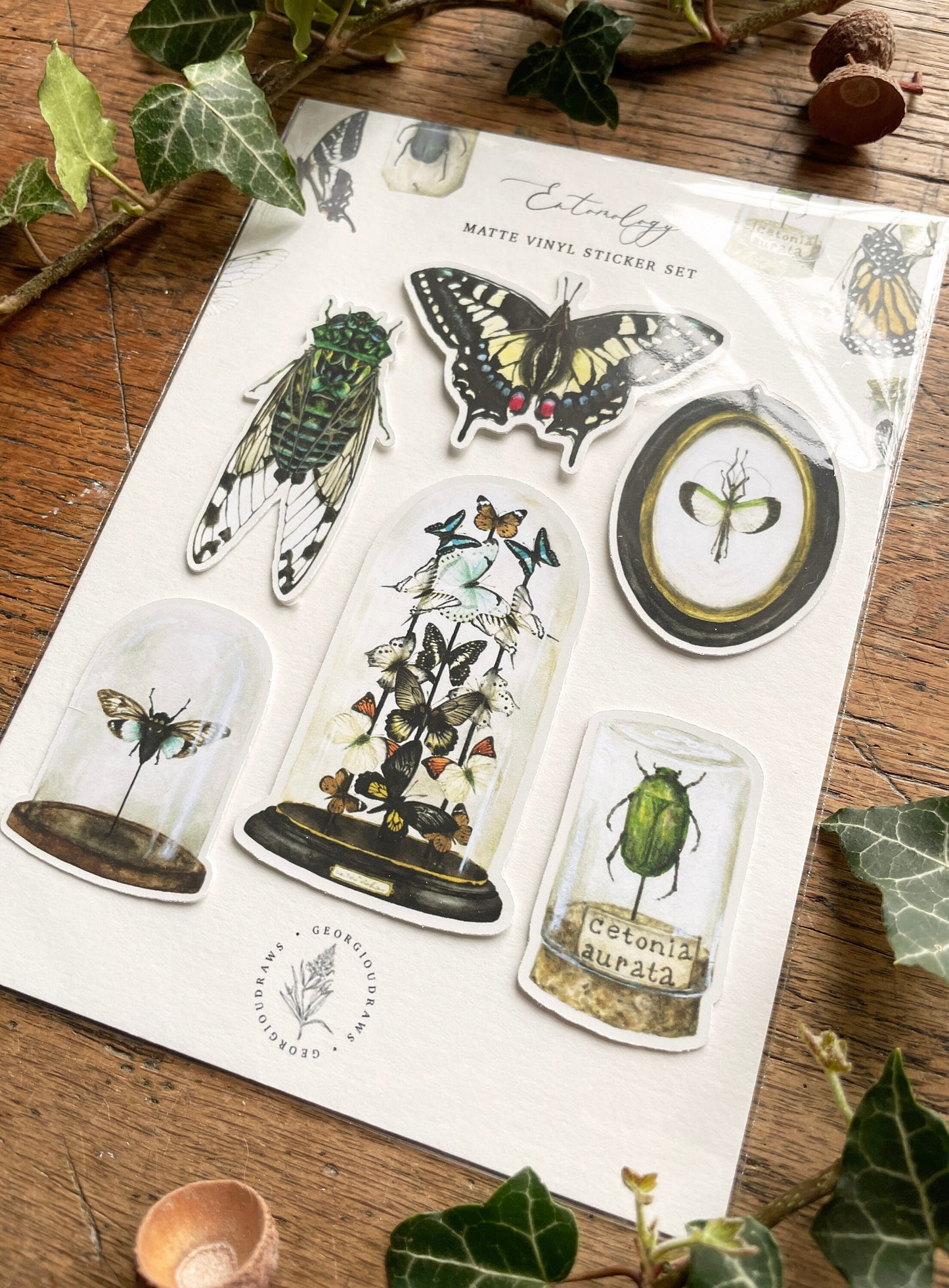 Entomology Matt Vinyl Sticker Set | Curious Nature Oddities Art