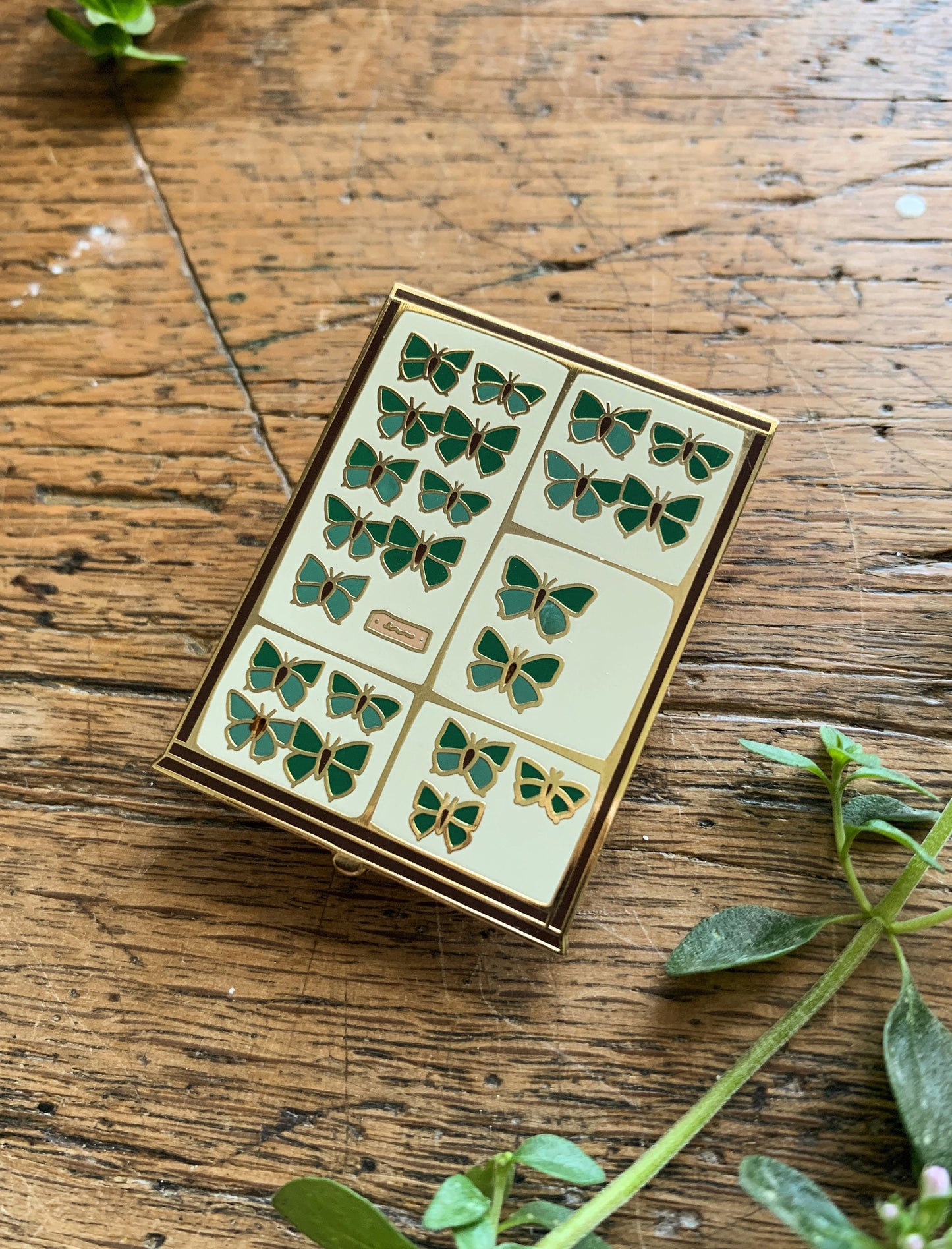 Butterfly Tray Enamel Pin Badge | Entomology Taxidermy Cabinet of Curiosities Art