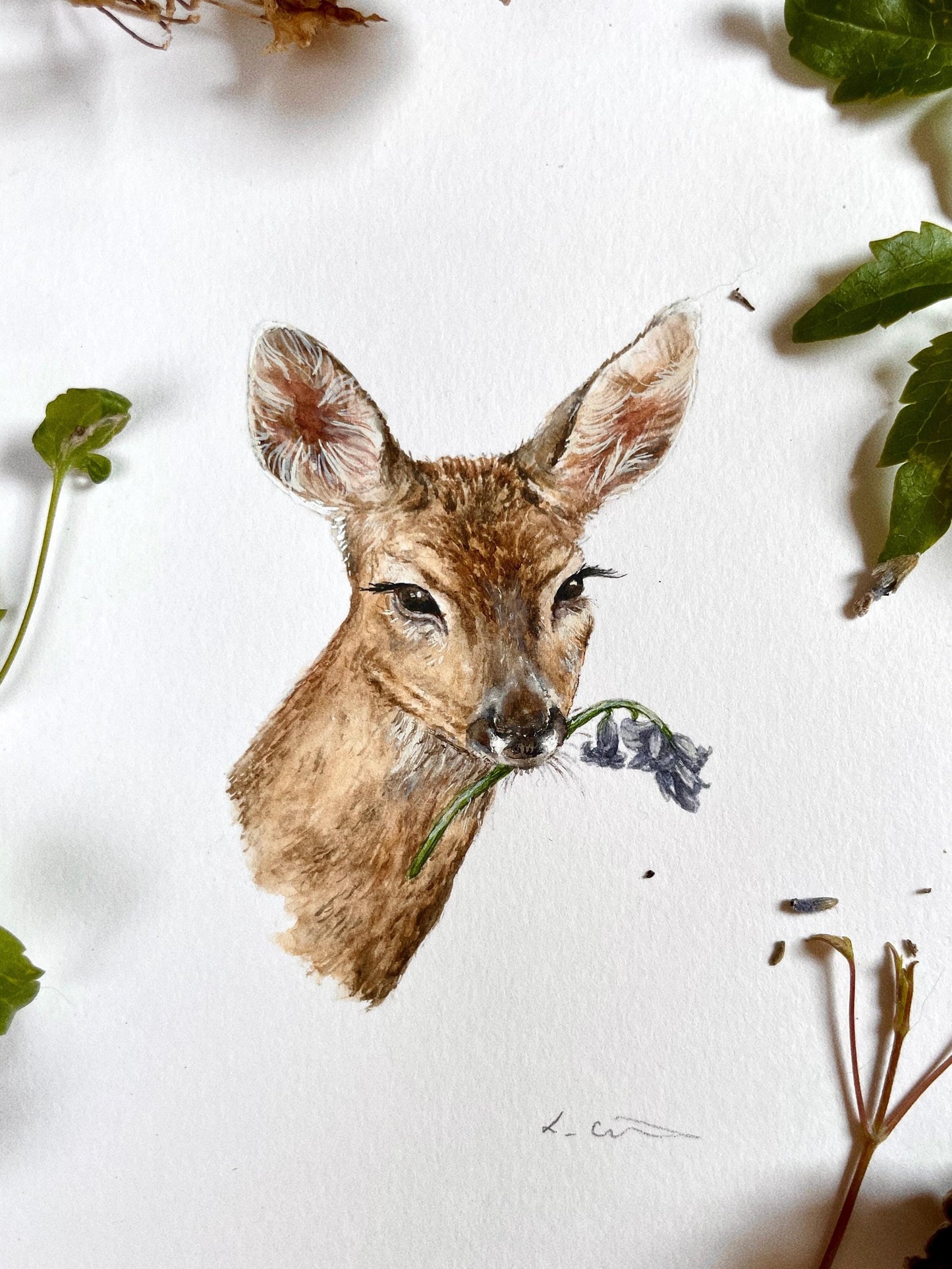 Deer holding Bluebell *ORIGINAL* watercolour painting in round wooden frame
