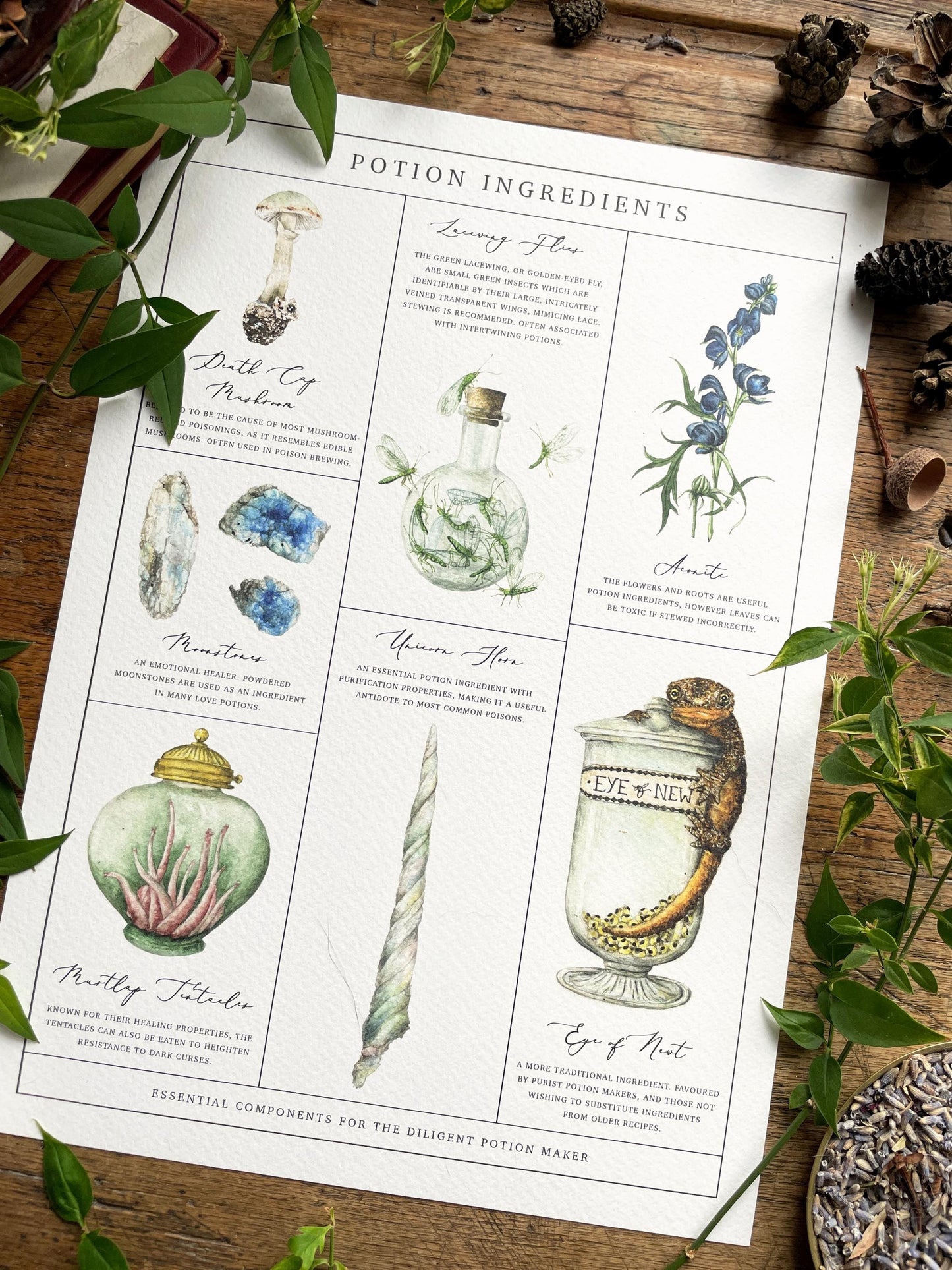 Potion Making Ingredients Watercolour A3 Art Print