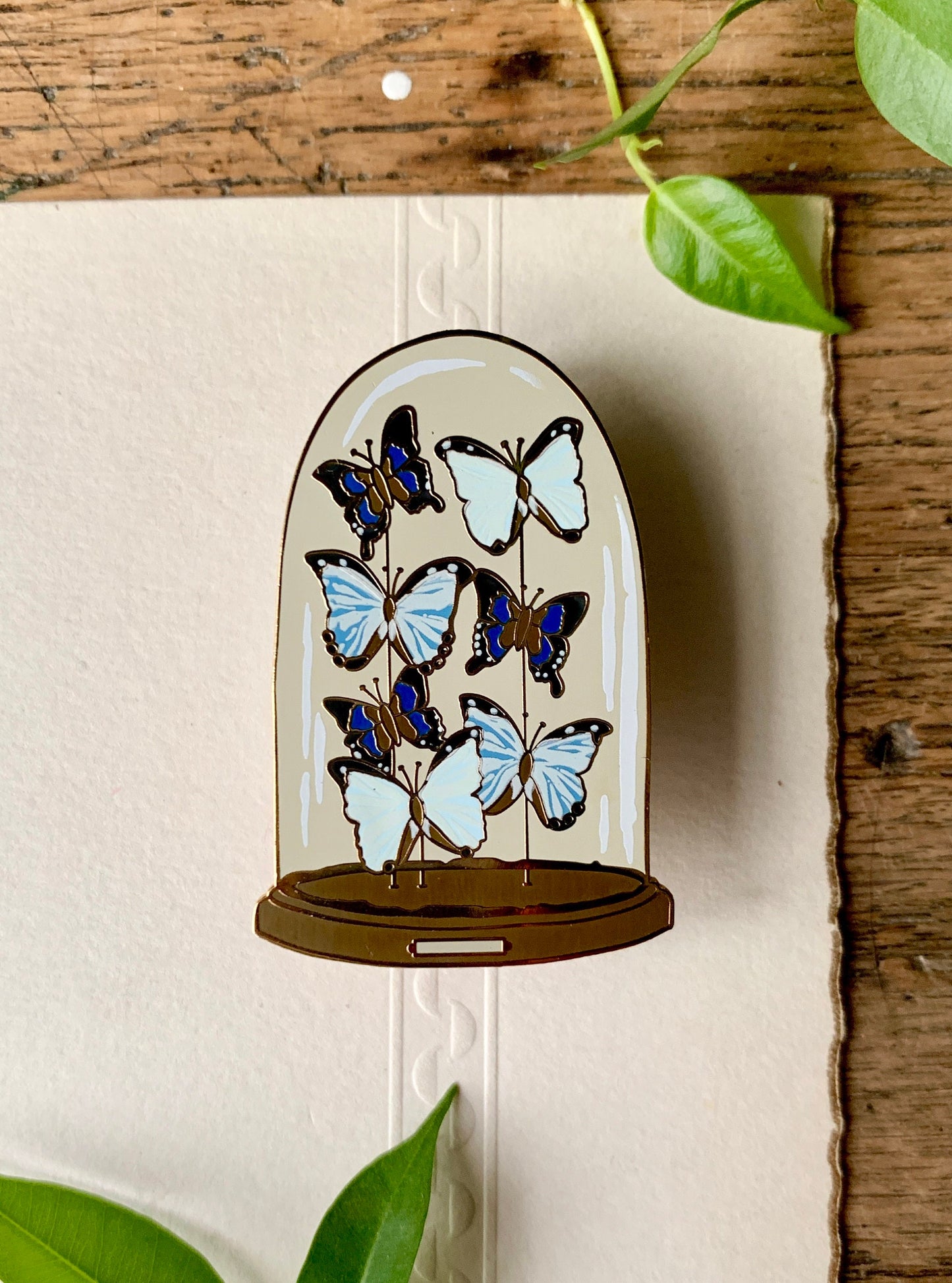 Butterfly Dome Enamel Pin Badge | Entomology Taxidermy Art