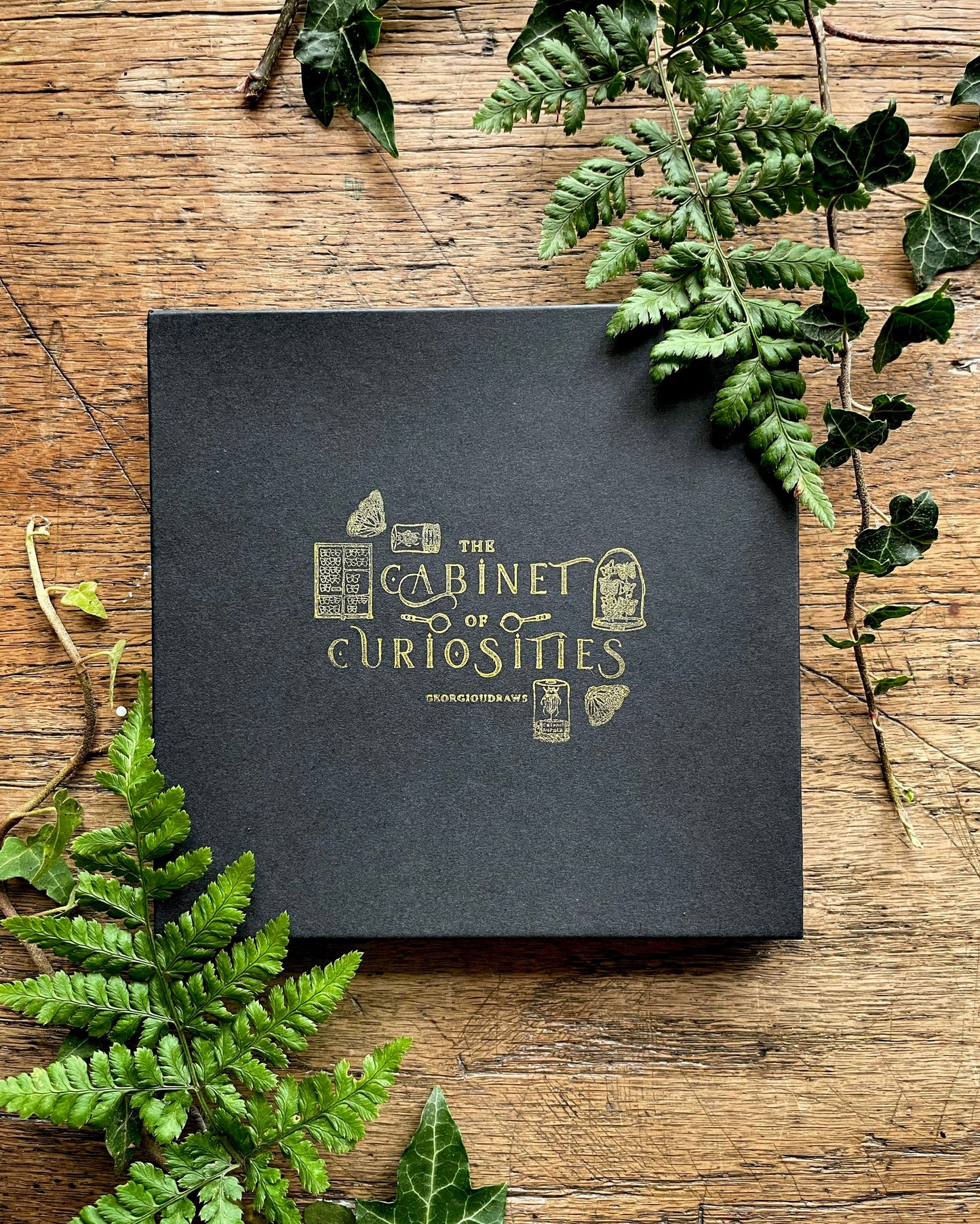Cabinet of Curiosities Luxury Enamel Pin Box Set