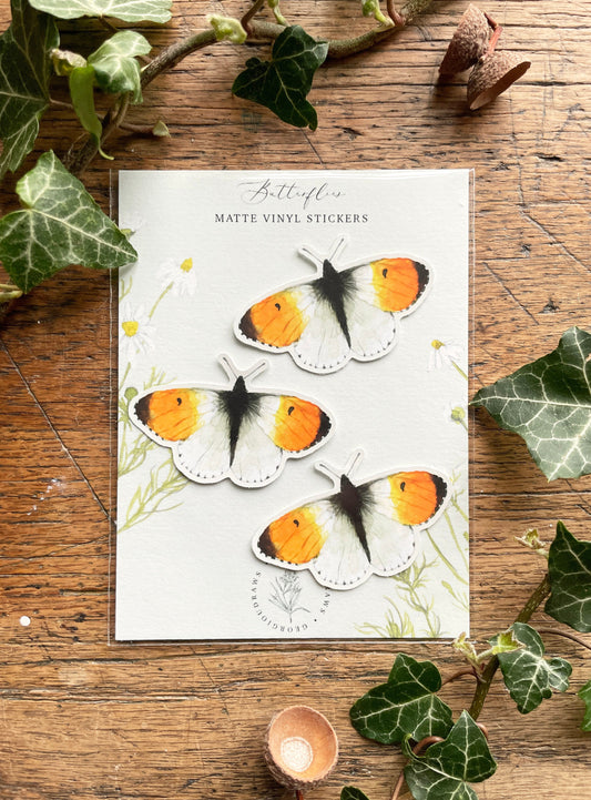 Orange Tip Butterfly Matt Vinyl Sticker Set | Nature Wildlife Illustration Art
