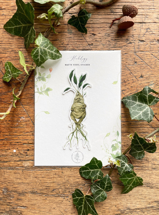 Mandrake Matt Vinyl Sticker | Magical Herbology Stationery Art