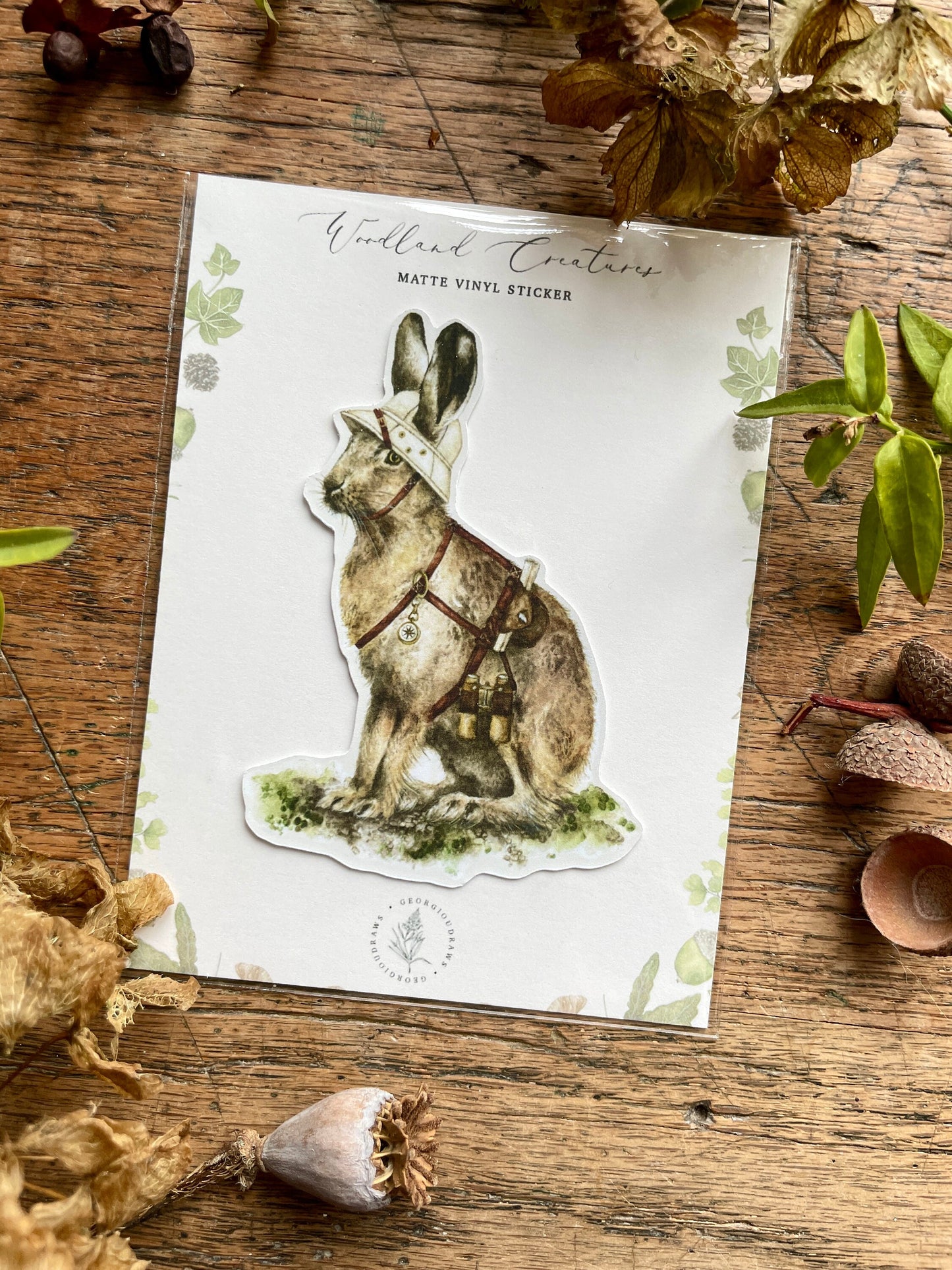 The Explorer Matt Vinyl Sticker | Whimsical Nature Animal Woodland Illustration