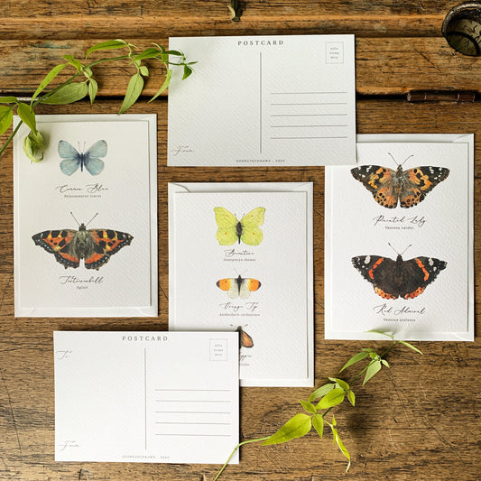 British Butterflies Entomology Postcard Series