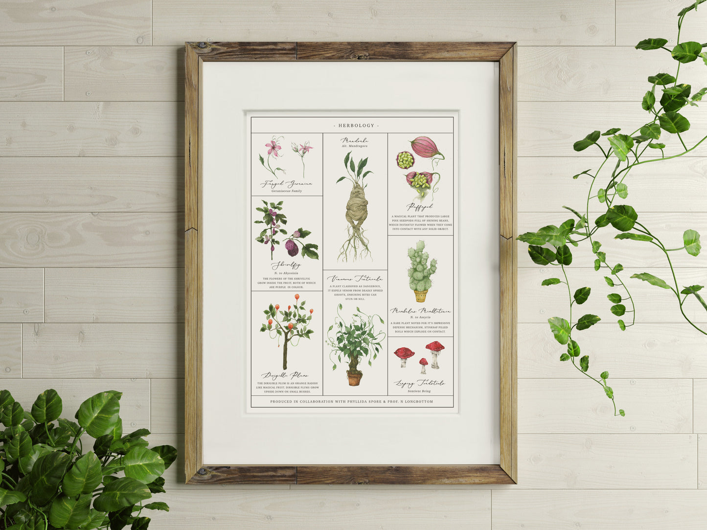 Herbology Chart A3 Print