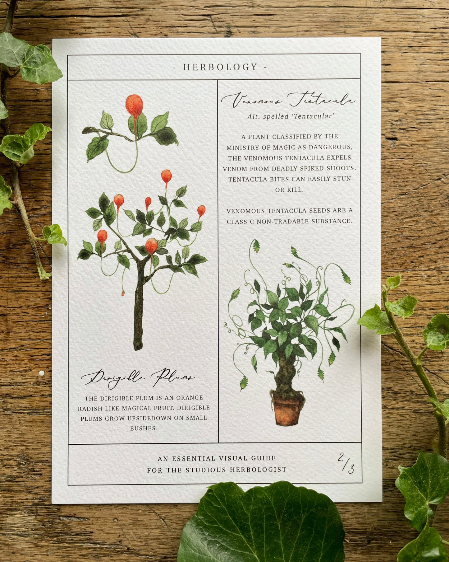 Herbology Chart A4 Print Set