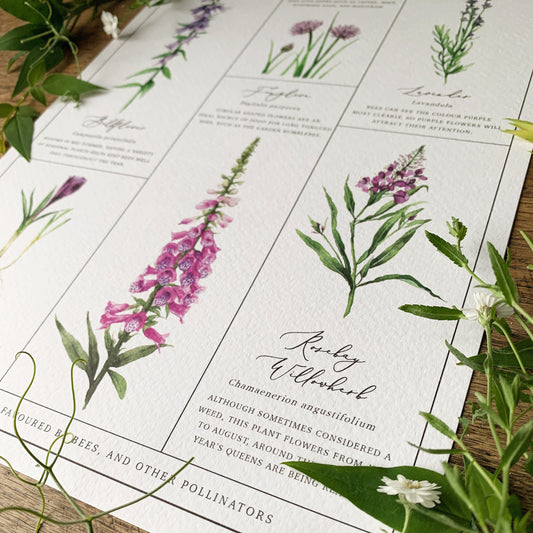 Flowers for Pollinators Chart A3 Print