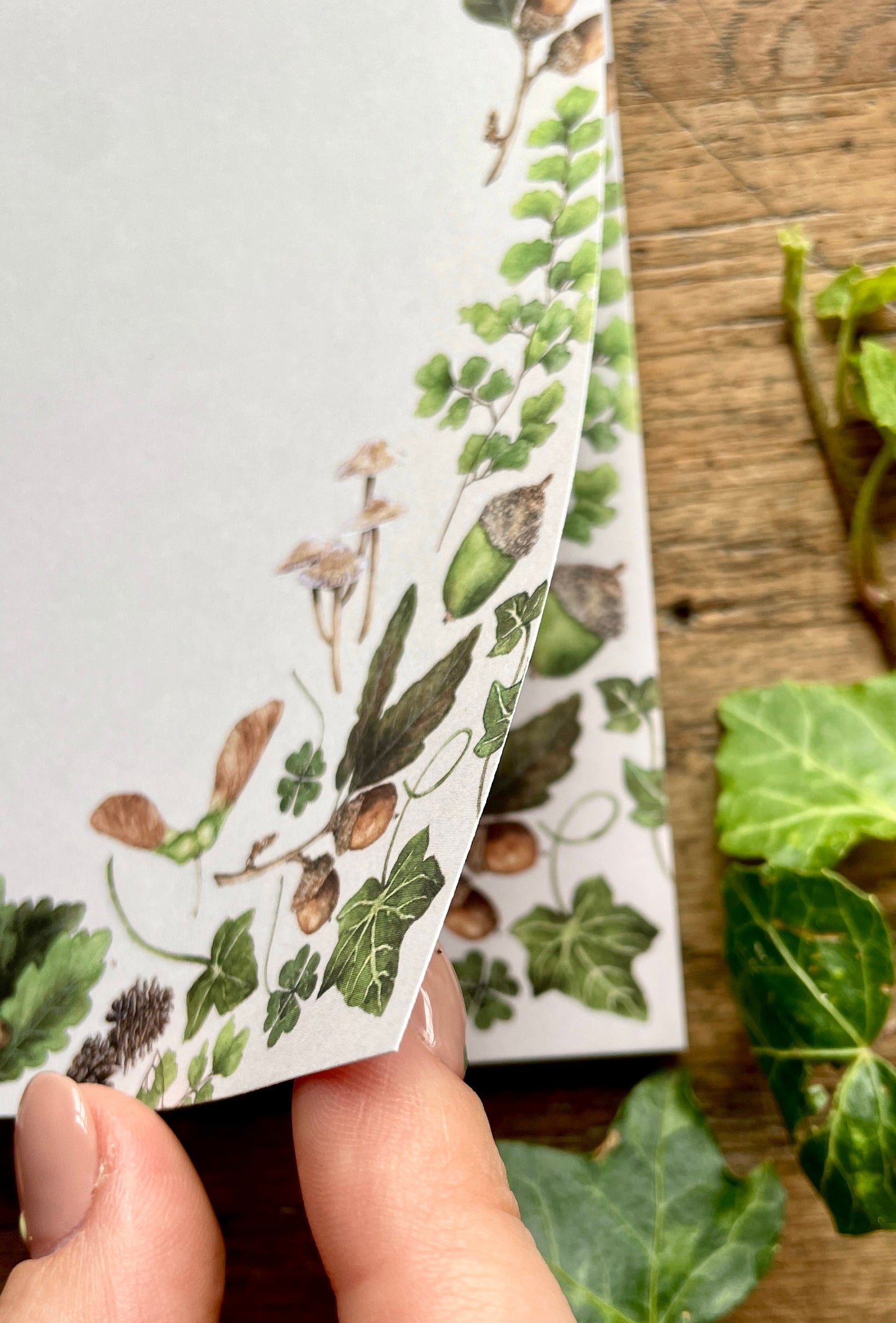 Natural Woodland Elements Botanical Watercolour Notepad | Botanical Watercolour Stationery