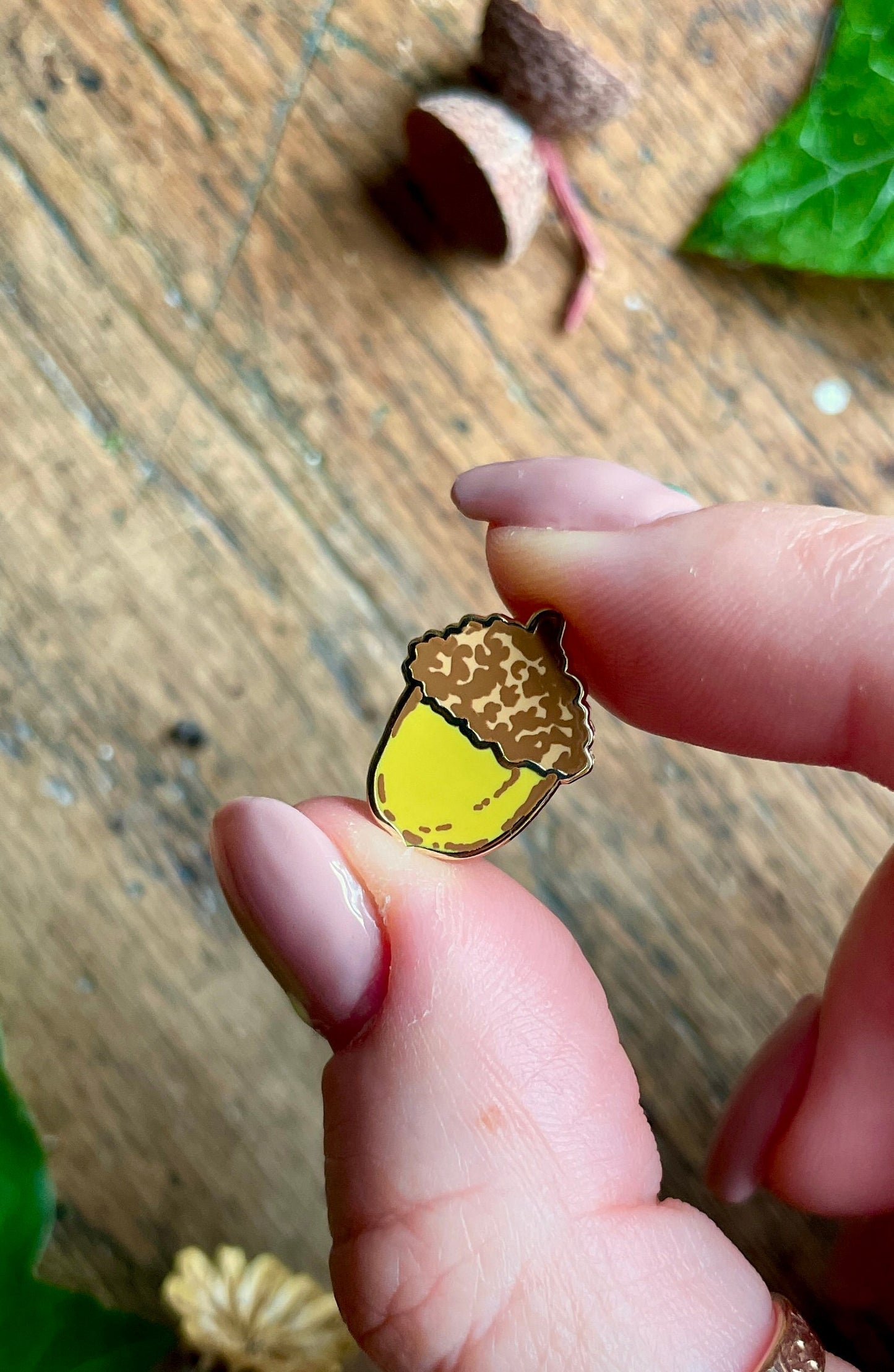 Woodland Seeds Mini Enamel Pin Badge Set | Nature Illustration Art
